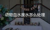 動物血水廢水怎么處理