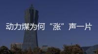 動力煤為何“漲”聲一片?