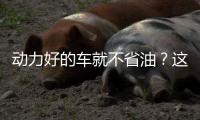 動力好的車就不省油？這幾款讓日系車汗顏