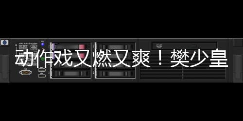 動作戲又燃又爽！樊少皇新片，沒人看太可惜了