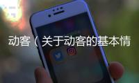 動(dòng)客（關(guān)于動(dòng)客的基本情況說明介紹）