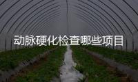 動(dòng)脈硬化檢查哪些項(xiàng)目
