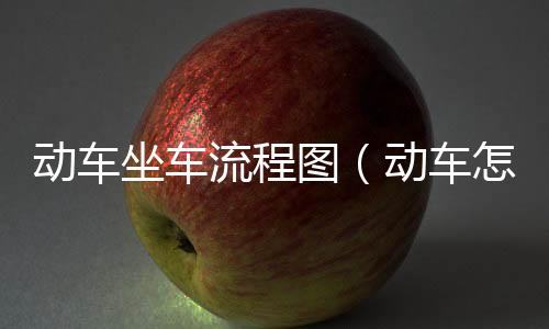 動車坐車流程圖（動車怎么坐的流程圖）