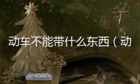 動車不能帶什么東西（動車不能帶什么）