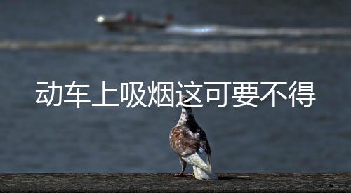 動(dòng)車上吸煙這可要不得