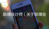 助理會計師（關于助理會計師的基本情況說明介紹）