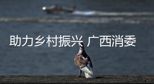 助力鄉村振興 廣西消委會“送法”入企入村