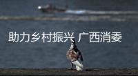 助力鄉(xiāng)村振興 廣西消委會“送法”入企入村