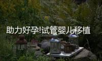 助力好孕!試管嬰兒移植囊胚4個成功小經驗分享