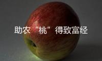 助農“桃”得致富經