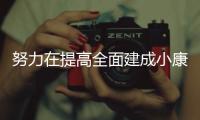 努力在提高全面建成小康社會水平上更進一步