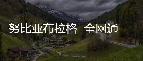 努比亞布拉格  全網(wǎng)通版線刷ROM刷機(jī)包