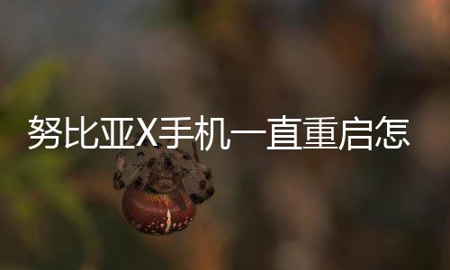努比亞X手機一直重啟怎么辦?手機忘記密碼怎么一鍵刷機？