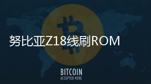 努比亞Z18線刷ROM刷機包