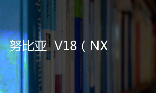 努比亞  V18（NX612）手機密碼忘了怎么辦？5種解鎖密碼的實用技巧