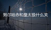 努爾哈赤和皇太極什么關系 太極和努爾哈赤的關系