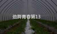 勁舞青春第13