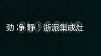 勁 凈 靜！浙派集成灶開啟2021無煙健康廚房新時(shí)代