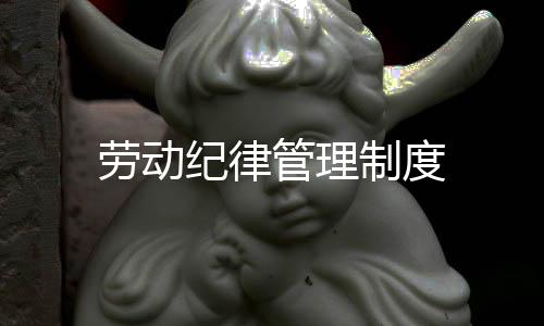 勞動紀律管理制度