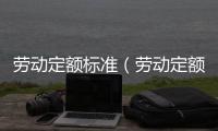勞動定額標(biāo)準(zhǔn)（勞動定額）