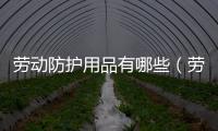 勞動(dòng)防護(hù)用品有哪些（勞動(dòng)防護(hù)用品）