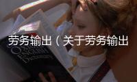 勞務(wù)輸出（關(guān)于勞務(wù)輸出的基本情況說明介紹）