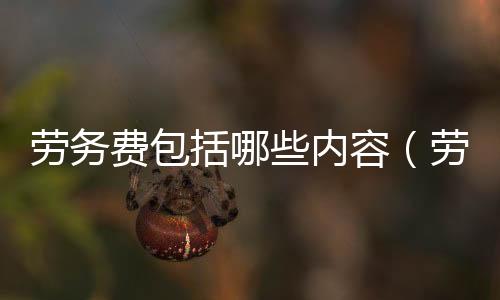 勞務(wù)費(fèi)包括哪些內(nèi)容（勞務(wù)費(fèi)）
