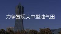 力爭(zhēng)發(fā)現(xiàn)大中型油氣田