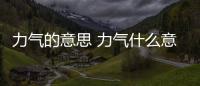 力氣的意思 力氣什么意思