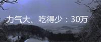 力氣大、吃得少：30萬以內柴油發動機SUV
