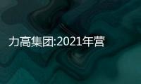 力高集團:2021年營收203.9億元,同比增長63.8%