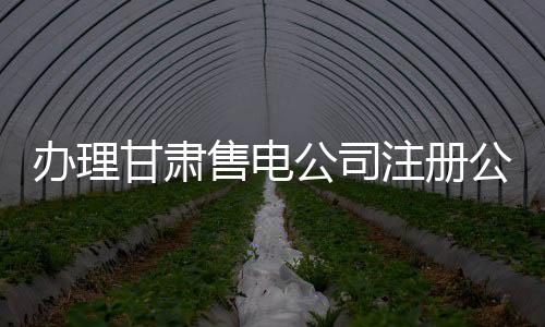 辦理甘肅售電公司注冊(cè)公示