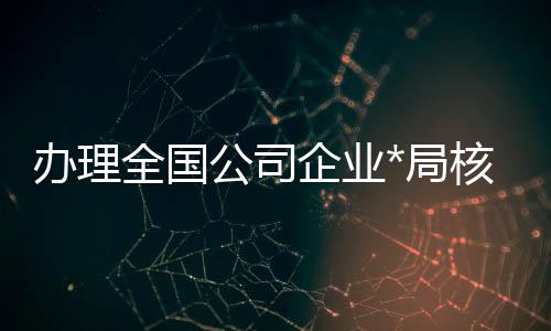 辦理全國(guó)公司企業(yè)*局核名的要求