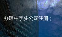 辦理中字頭公司注冊； *局公司核名