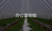 辦公室瑜伽