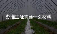 辦準生證需要什么材料