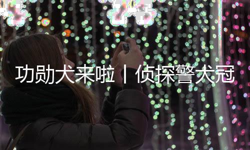 功勛犬來啦丨偵探警犬冠和