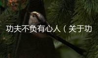 功夫不負有心人（關于功夫不負有心人的基本情況說明介紹）