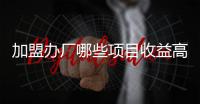 加盟辦廠哪些項(xiàng)目收益高（投資不到10萬辦廠一年十幾萬收入）
