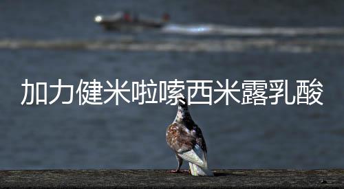 加力健米啦嗦西米露乳酸菌新口味，征服大眾的味蕾！