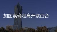 加圖索確定離開紫百合 入主1個月1場比賽還沒踢
