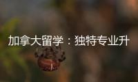 加拿大留學：獨特專業升溫