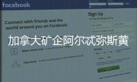加拿大礦企阿爾忒彌斯黃金：因野火而采取預防措施