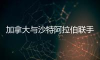 加拿大與沙特阿拉伯聯(lián)手締造CQD電池世界記錄