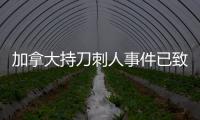 加拿大持刀刺人事件已致10人身亡　警方通緝兩兇嫌