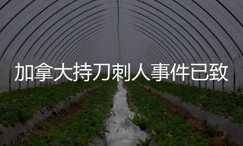 加拿大持刀刺人事件已致10人身亡　警方通緝兩兇嫌