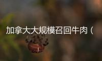 加拿大大規(guī)模召回牛肉（美國召回萬磅牛肉）