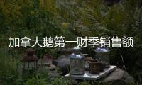 加拿大鵝第一財季銷售額大漲116% 凈虧損擴大至5840萬加元