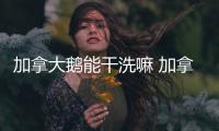 加拿大鵝能干洗嘛 加拿大鵝洗滌方法