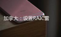 加拿大：設(shè)置RAIC雷蒙·森山國際文學(xué)獎（圖）